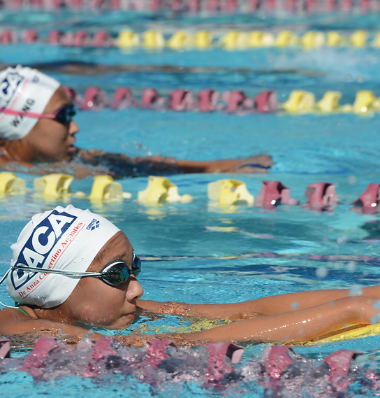 COMPETITIVE Daca Swim School